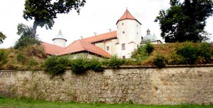 Castle Wisnicz