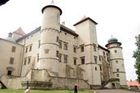  Castle Wisnicz