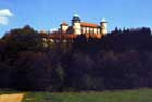 Castle Wisnicz